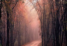 CBA全明星星锐赛落幕 谢智杰感谢山东球迷支持.