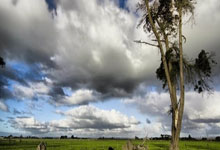 问鼎娱乐:亚洲冬季运动会主办方准备非物质文化遗产展示活动 让选手大开眼界.