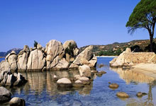 问鼎娱乐:CBA常规赛江苏男篮深圳男篮.